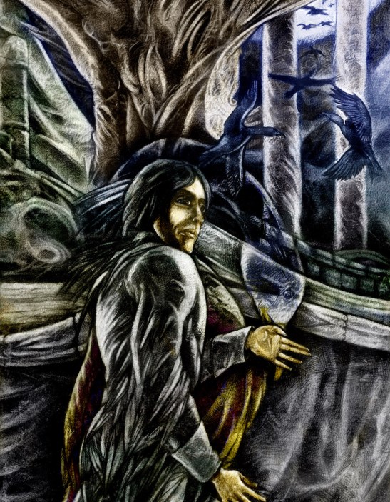 A Collar For Captain Cormorant